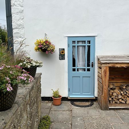 Y Felin Bed And Breakfast And Smallholding Caersws Exteriör bild