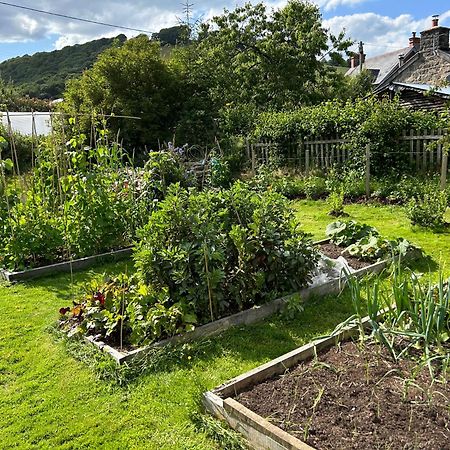 Y Felin Bed And Breakfast And Smallholding Caersws Exteriör bild