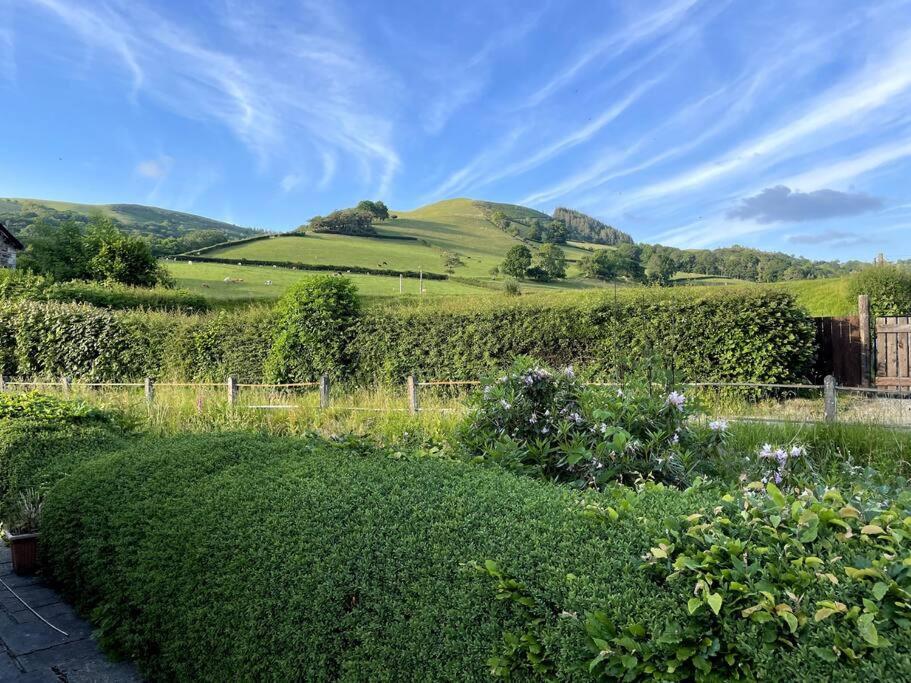 Y Felin Bed And Breakfast And Smallholding Caersws Exteriör bild