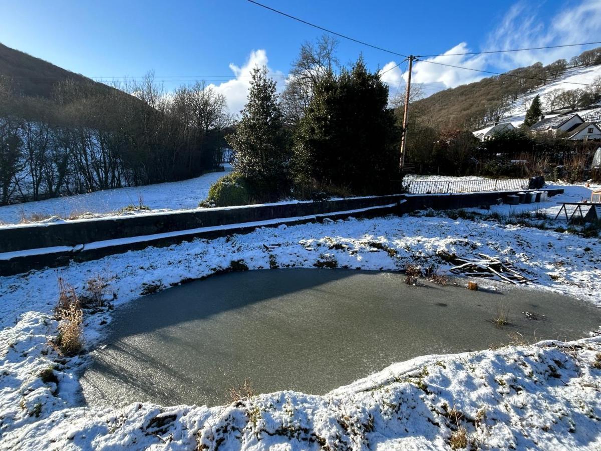 Y Felin Bed And Breakfast And Smallholding Caersws Exteriör bild